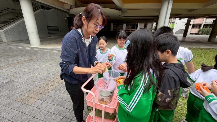 復活節找蛋和滾蛋活動